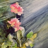 Roses in Sunlight.JPG