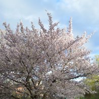 2019-04-24-18.20.03-1-scaled.jpg