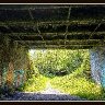 Underbridge