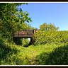IMG_20250516_115656259-001_2