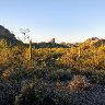 Weaver's Needle