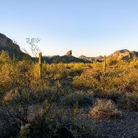 IMG_20161118_165223966_HDR.jpg