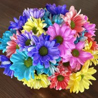 IMG_R_0029.JPG
