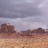 IMG_5431