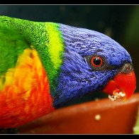 3C5A2459_HDR-001.JPG