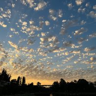 logan-hughes-fexsuofV3s0-unsplash-scaled.jpg