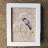 Chickadee & Queen Anne's Lace