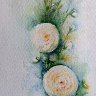 Roise d'inverno