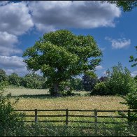 Landscape 1 halved..jpg