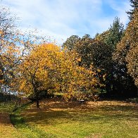 IMG_20241024_121030867(1).jpg