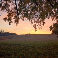IMG_20241024_073233163_HDR.jpg