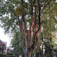 IMG_1803-scaled.jpg