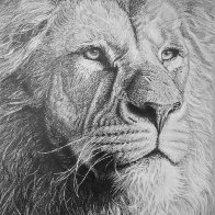 Lion Portrait 2022.jpg