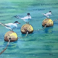 IMG_9424.jpeg