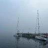 Foggy harbour boats