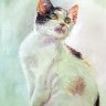 Green Kitty