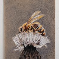 Bee_June2025.jpg