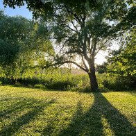 logan-hughes-m_AJdkh-dM8-unsplash (1).jpg