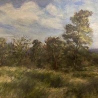 Meadow of trees.JPG