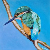 Kingfisher.jpg