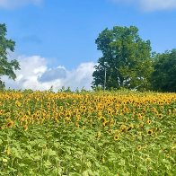 IMG_6160.jpeg