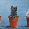 Kittens in pots