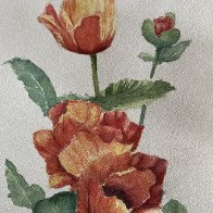 IMG_1324.jpeg