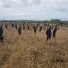 The "Standing Giants" Normandy 