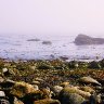 Shore Rocks