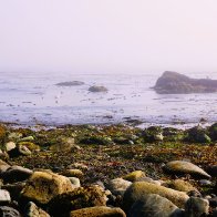 Rocks PMPsz 2668.JPG