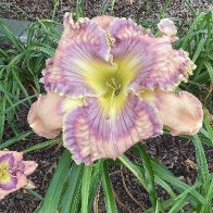 IMG_6104.jpeg
