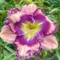 IMG_6087.jpeg