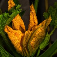 D7500_44248-Edit.jpg