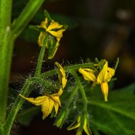 D7500_44272-Edit.jpg