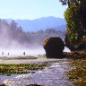 Misty Morning