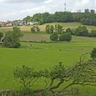 German-field-DSCN0166-1920X1280.jpg