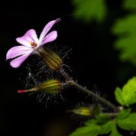 D7500_43028-Edit.jpg