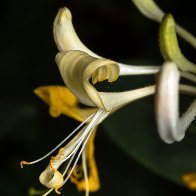 D7500_43315-Edit.jpg