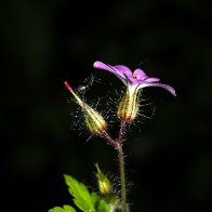 D7500_43464-Edit.jpg