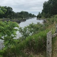 IMG_2788.jpeg