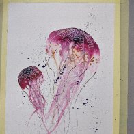 jellyfish.jpg