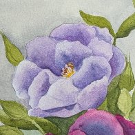 Violet Rhapsody.jpg