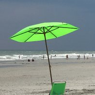IMG_1315.JPG