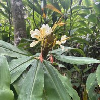IMG_2507.jpeg
