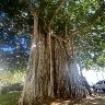 IMG_2449
