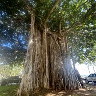 IMG_2449.jpeg