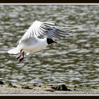 3C5A9094_HDR-001.JPG