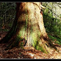 3C5A9038_HDR-002_1.JPG