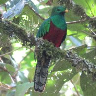IMG_0576.JPG