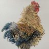 Rooster